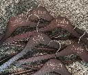 IMG_3305.webp